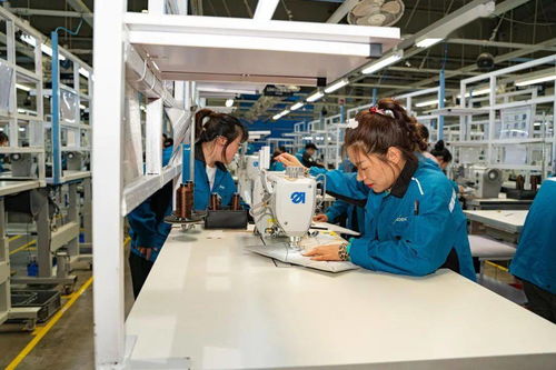 高新区职工劳动和技能竞赛在延锋安道拓工厂成功举办，网络技术服务助力‘五个百万’竞赛落地